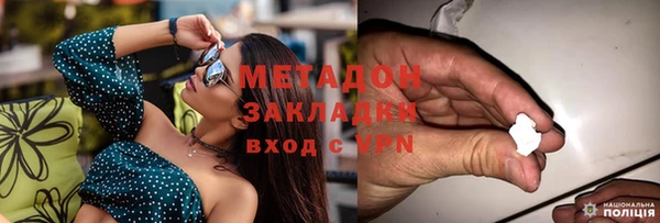 прущие грибы Вязьма