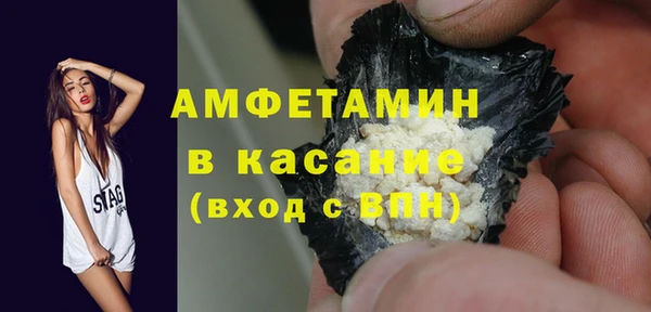 прущие грибы Вязьма