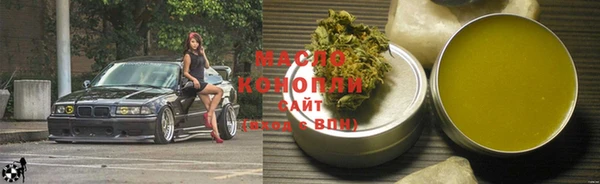 прущие грибы Вязьма