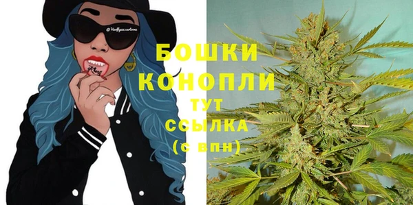эйфоретик Вяземский