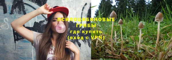 прущие грибы Вязьма