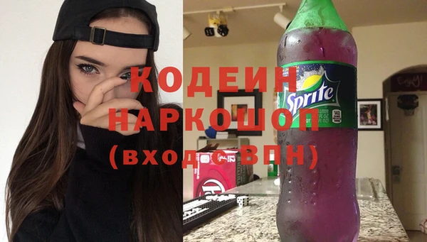 эйфоретик Вяземский