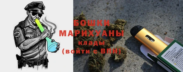 прущие грибы Вязьма