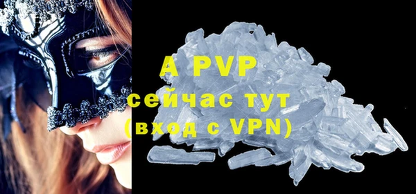 прущие грибы Вязьма