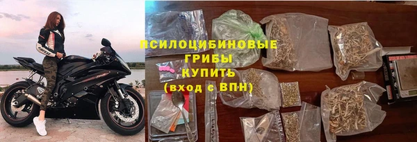 прущие грибы Вязьма