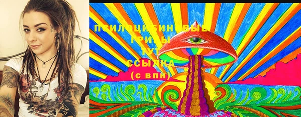 эйфоретик Вяземский