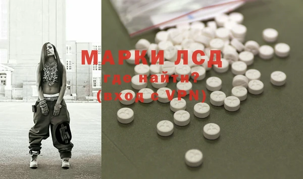 прущие грибы Вязьма