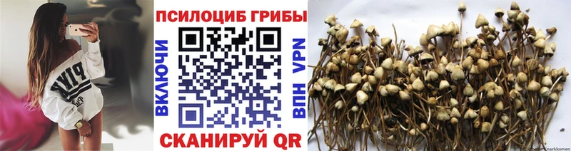 Галлюциногенные грибы прущие грибы  где купить наркотик  Коряжма 